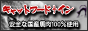 �L���b�g�t�[�h�{�C��