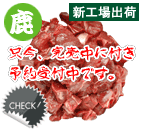 G] VN Jbg1kg