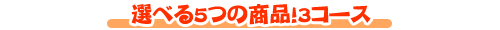 �I�ׂ�5�̏��i�I3�R�[�X
