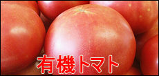 有機のトマト