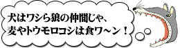 IIJ~