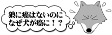 IIJ~