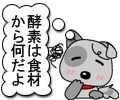 yf͐Hނ牽