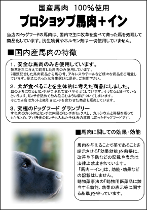 n@揑@Yn̓