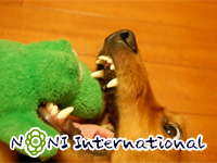 ̎ڂɓʂ[I