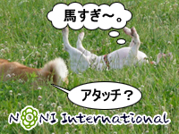 n`