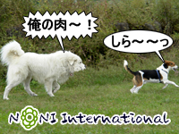 ̓`I