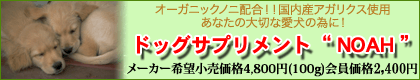 hbNTv