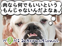 Ȃ牽łƂ񂶂Ȃ񂾂ȂB