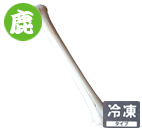 G] Shinbone 1{