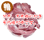 YlbN100g