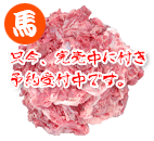 �k�C���Y �n���X�W �v���~�A��