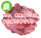Yv~A 1kg
