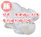 ���Y������ ���S���S�ȓ؎��i���j