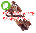 ����Y�� �X�p�C���o�[