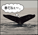 e퐶EETvē