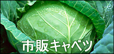 ŝ̃Lxc