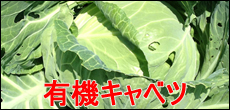 L@̃Lxc