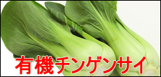 L@̃`QTC