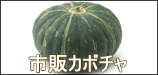 ŝ̃J{`