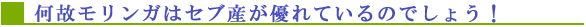 ̃K̓ZuYDĂ̂ł傤I