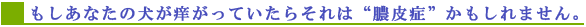 Ȃ̌yĂ炻́g^ǁh܂B
